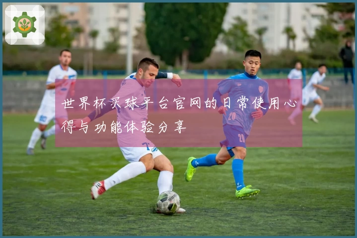 世界杯买球平台官网的日常使用心得与功能体验分享