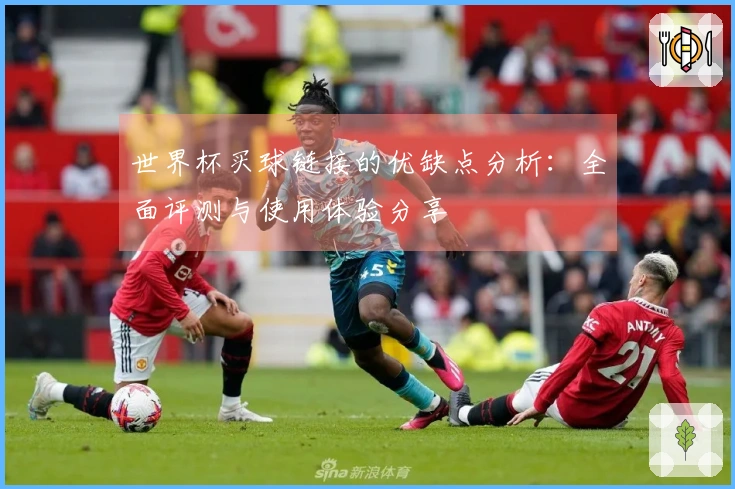 世界杯买球链接的优缺点分析：全面评测与使用体验分享