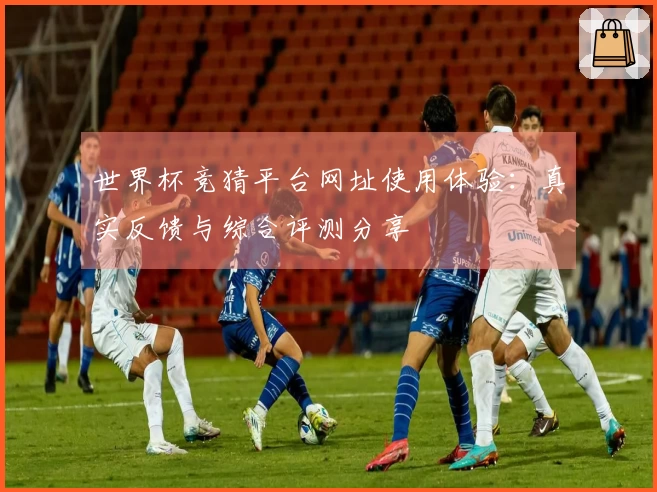 世界杯竞猜平台网址使用体验：真实反馈与综合评测分享