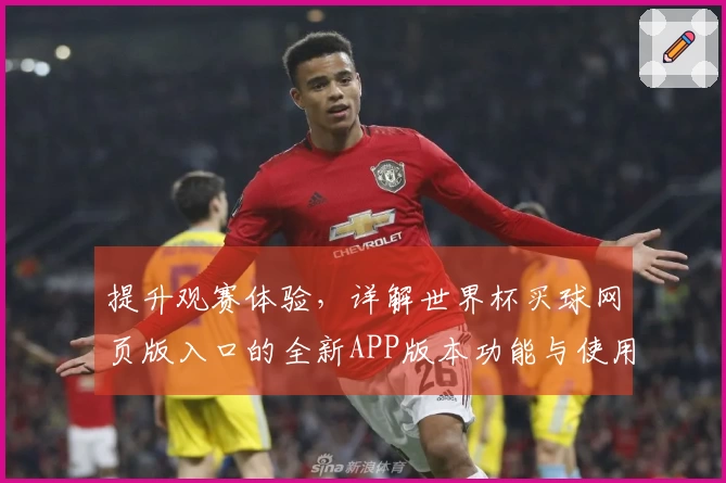提升观赛体验，详解世界杯买球网页版入口的全新APP版本功能与使用指南