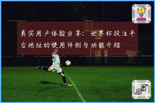 真实用户体验分享：世界杯投注平台地址的使用评测与功能介绍