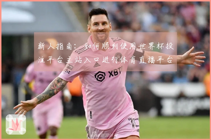 新人指南：如何顺利使用世界杯投注平台主站入口进行体育直播平台体验