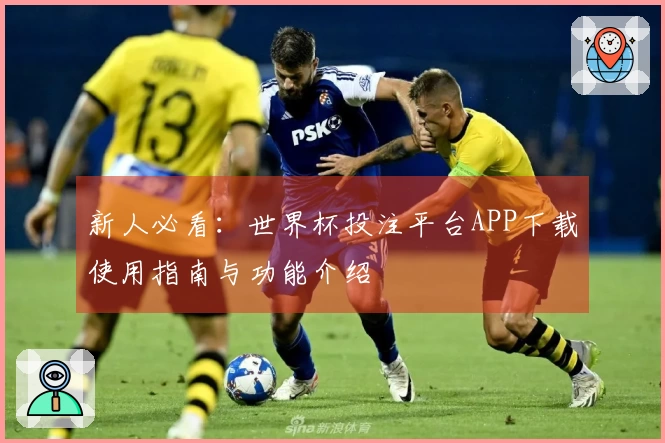 新人必看：世界杯投注平台APP下载使用指南与功能介绍
