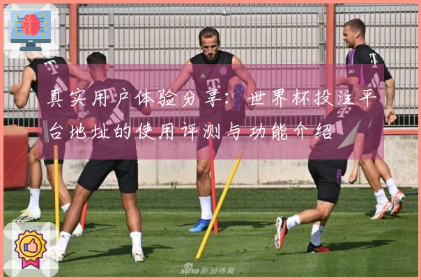 真实用户体验分享：世界杯投注平台地址的使用评测与功能介绍