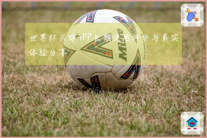 世界杯买球APP长期使用评价与真实体验分享
