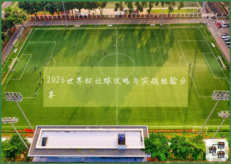 2026世界杯让球攻略与实战经验分享