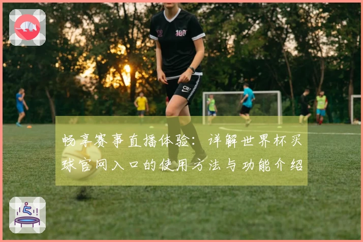 畅享赛事直播体验：详解世界杯买球官网入口的使用方法与功能介绍