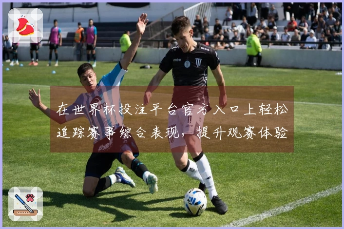 在世界杯投注平台官方入口上轻松追踪赛事综合表现，提升观赛体验