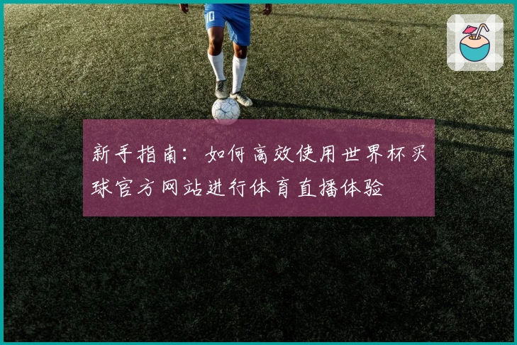 新手指南：如何高效使用世界杯买球官方网站进行体育直播体验