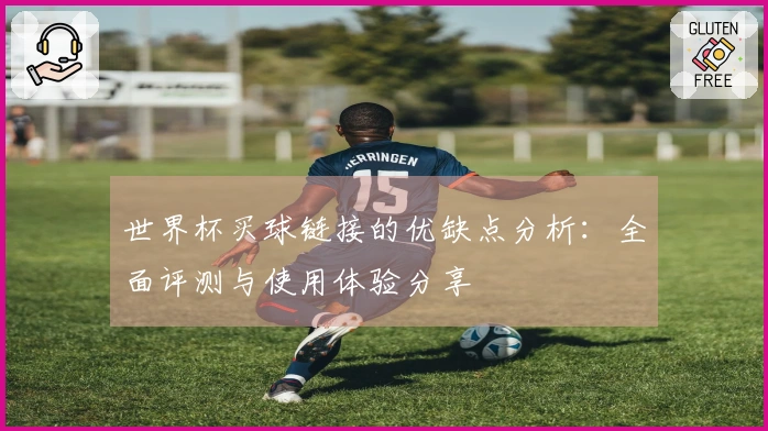 世界杯买球链接的优缺点分析：全面评测与使用体验分享