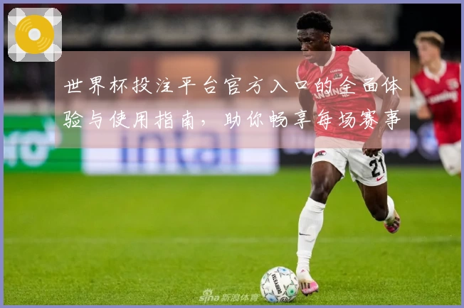 世界杯投注平台官方入口的全面体验与使用指南，助你畅享每场赛事直播