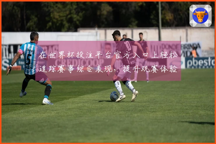 在世界杯投注平台官方入口上轻松追踪赛事综合表现，提升观赛体验