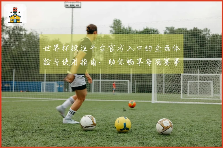 世界杯投注平台官方入口的全面体验与使用指南，助你畅享每场赛事直播