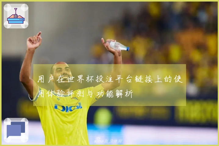 用户在世界杯投注平台链接上的使用体验评测与功能解析